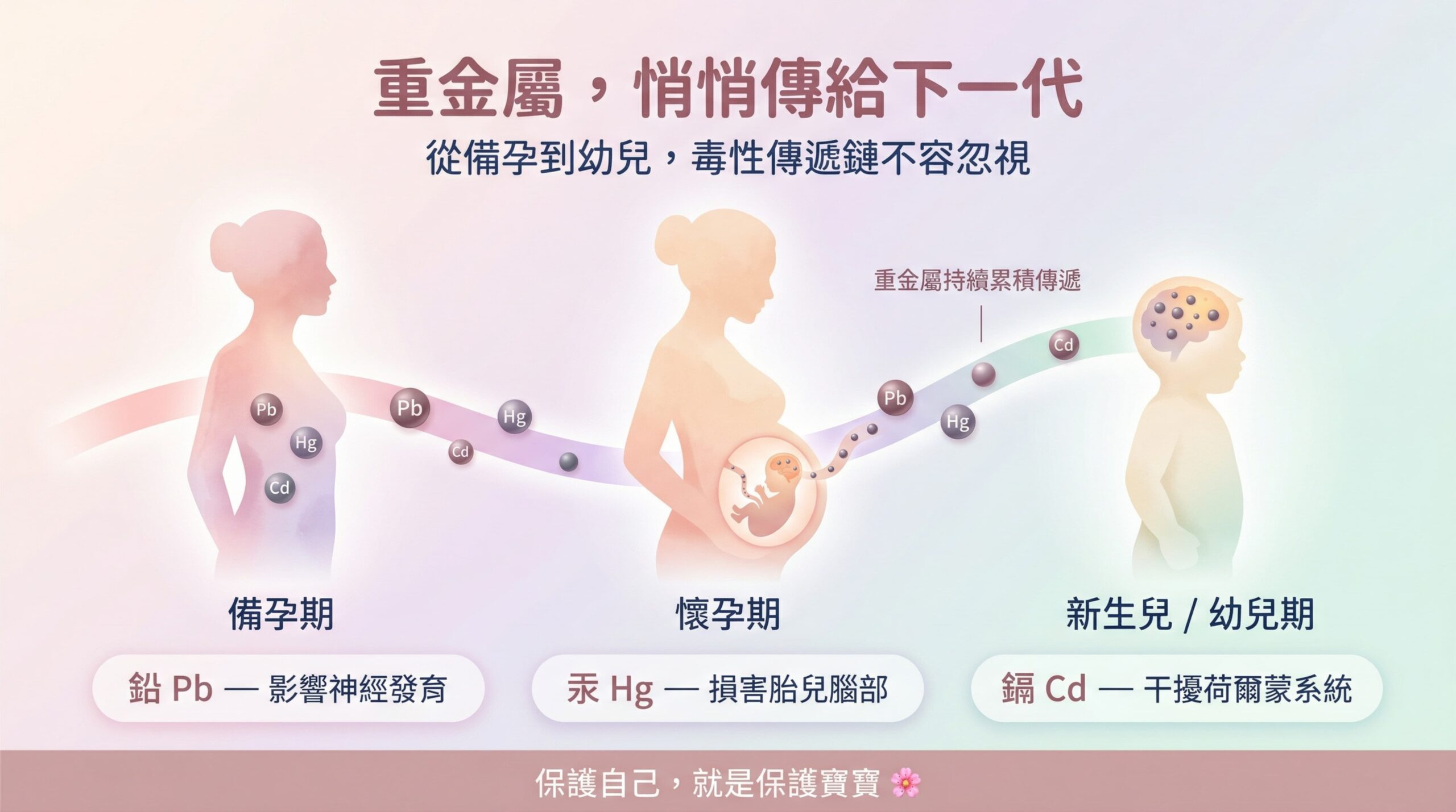 【孕期必讀】一人吃兩人毒？從備孕到新生兒，父母必須知道的重金屬「跨世代毒性」與阻斷策略