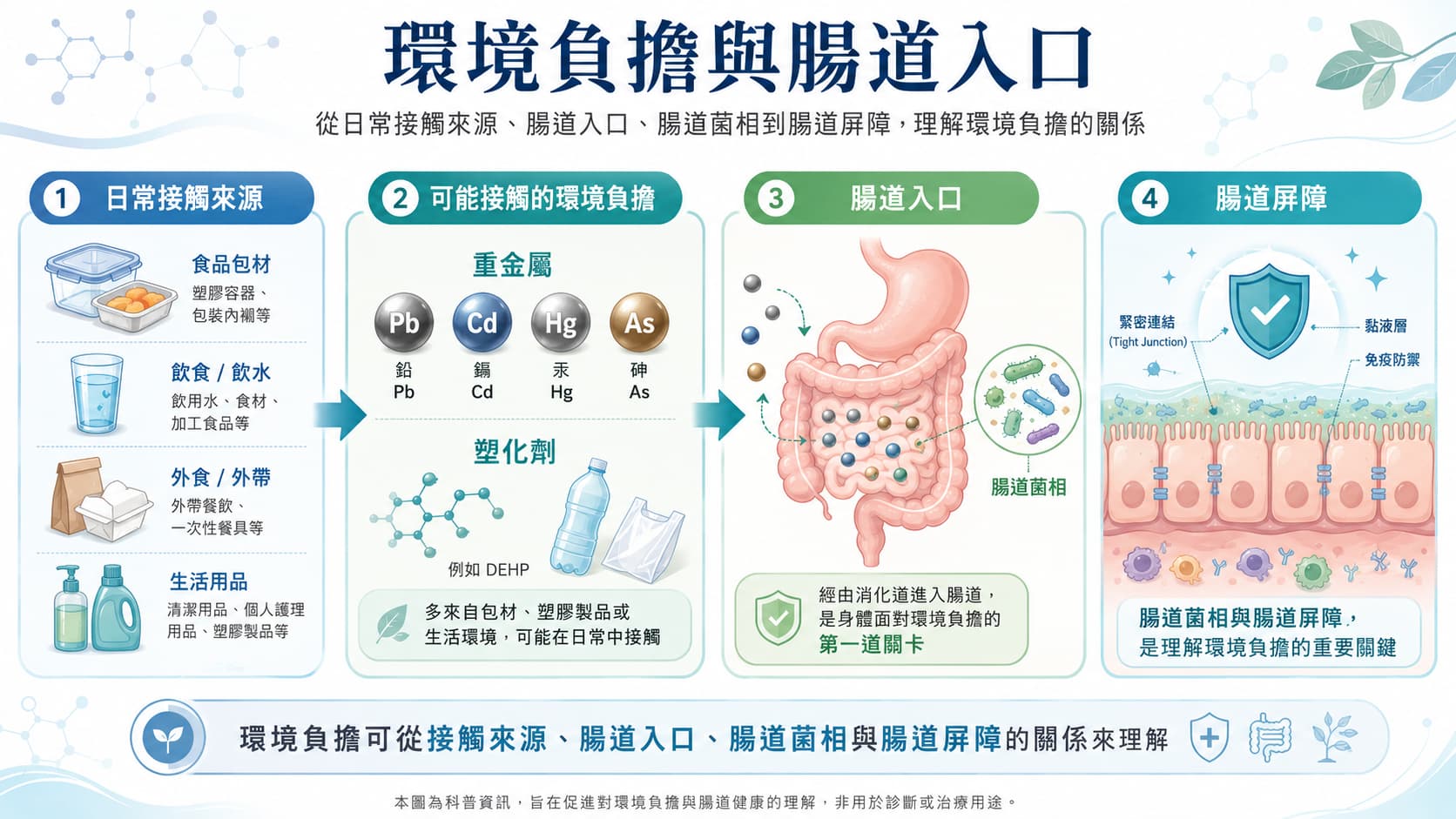 環境負擔與腸道入口科普圖，呈現重金屬、塑化劑、食品包材與腸道屏障的關係