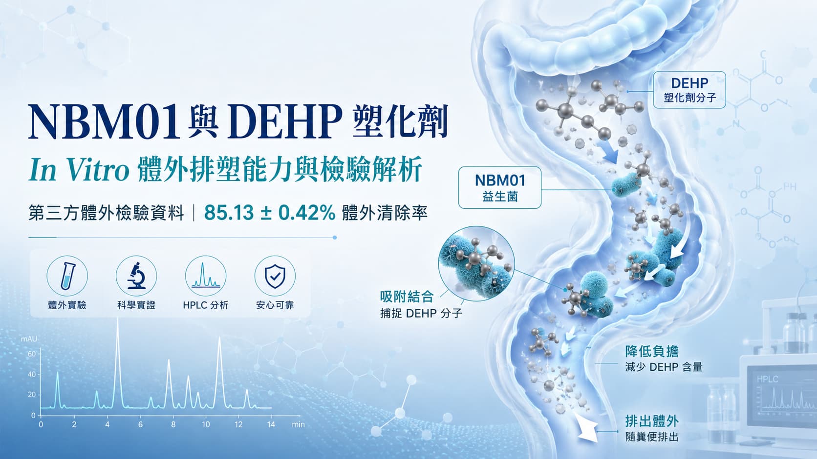 NBM01 塑化劑解析｜DEHP In Vitro 體外排塑能力