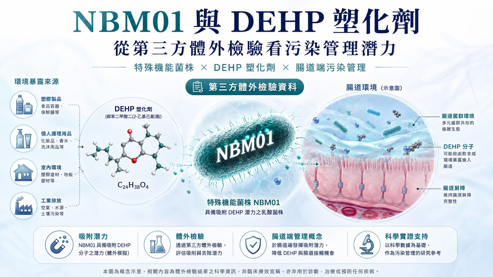 NBM01 與 DEHP 塑化劑 in vitro 體外排塑能力示意圖，呈現第三方體外檢驗資料與腸道端污染管理邏輯