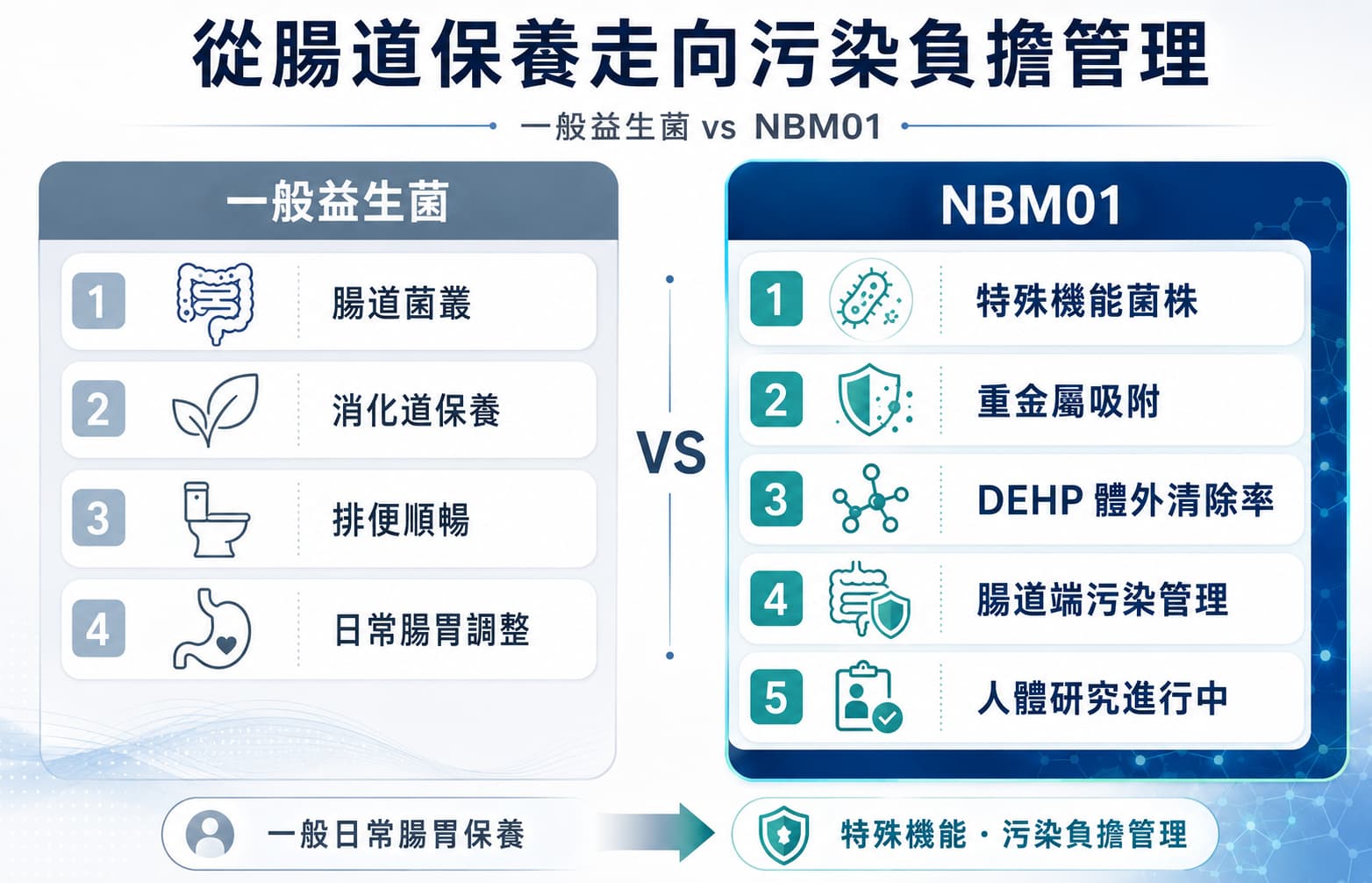 一般益生菌與 NBM01 差異比較圖，說明 NBM01 從腸道保養走向污染負擔管理