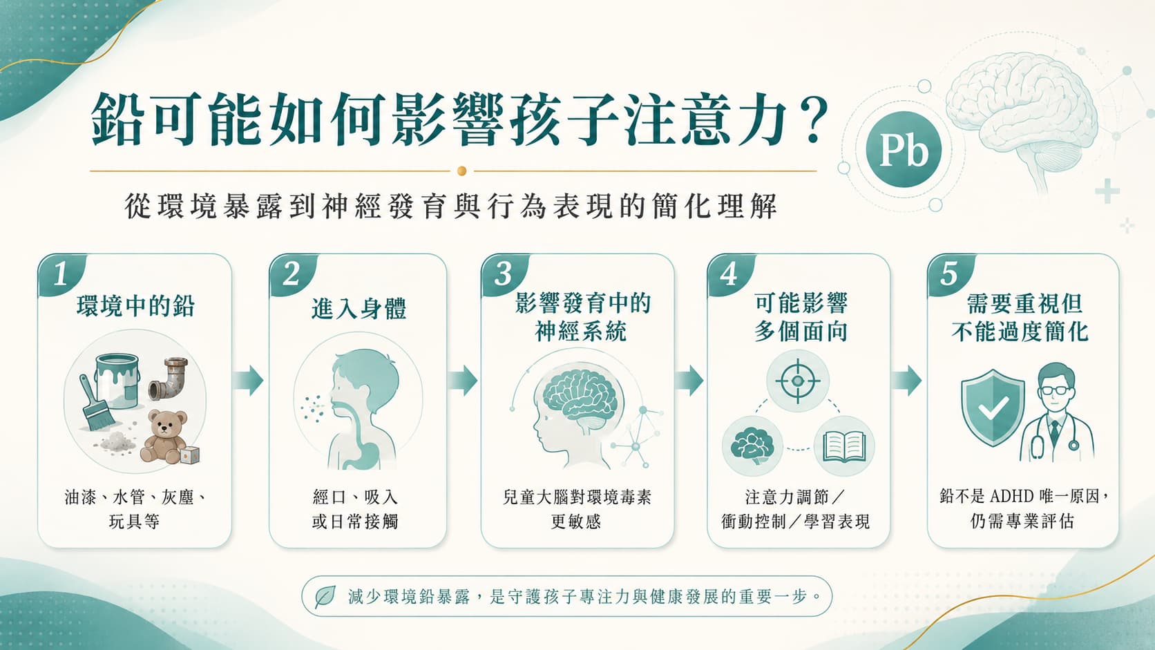 鉛可能如何影響孩子注意力的流程圖，從環境暴露、進入身體到神經發育與行為表現