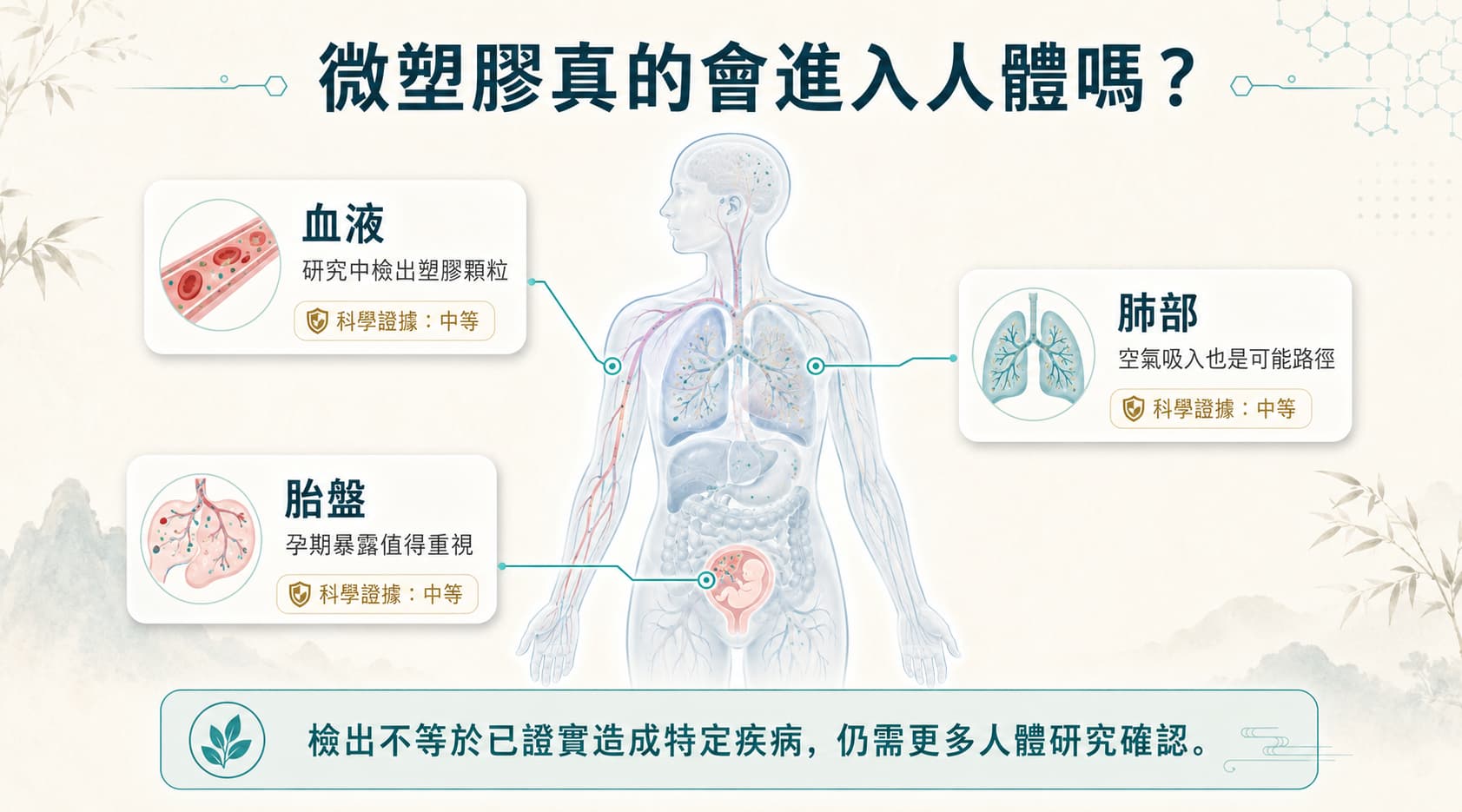 微塑膠在人體血液、胎盤與肺部組織中的檢出研究示意圖