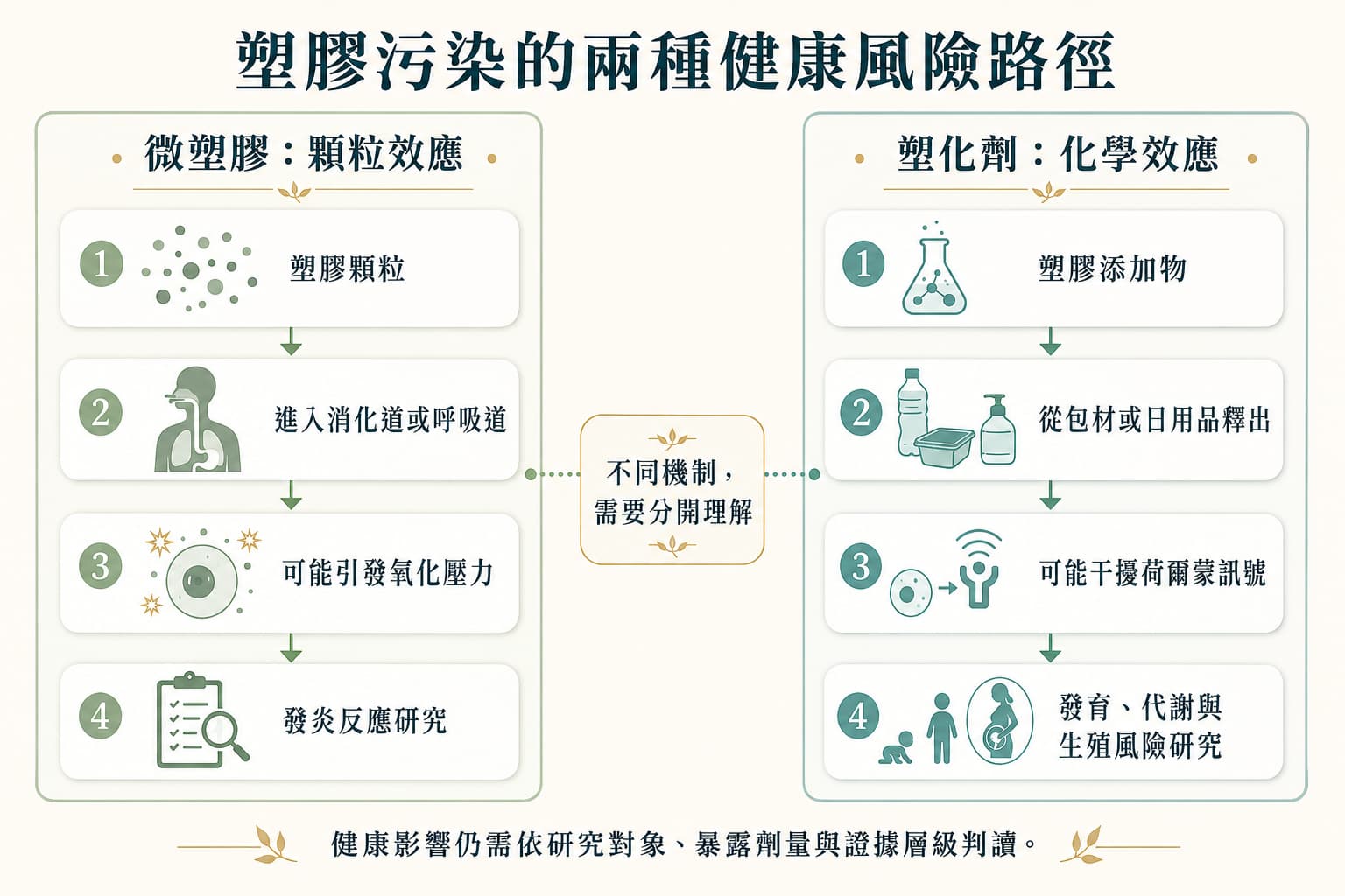 微塑膠顆粒效應與塑化劑化學效應比較，說明塑膠污染的不同健康風險路徑