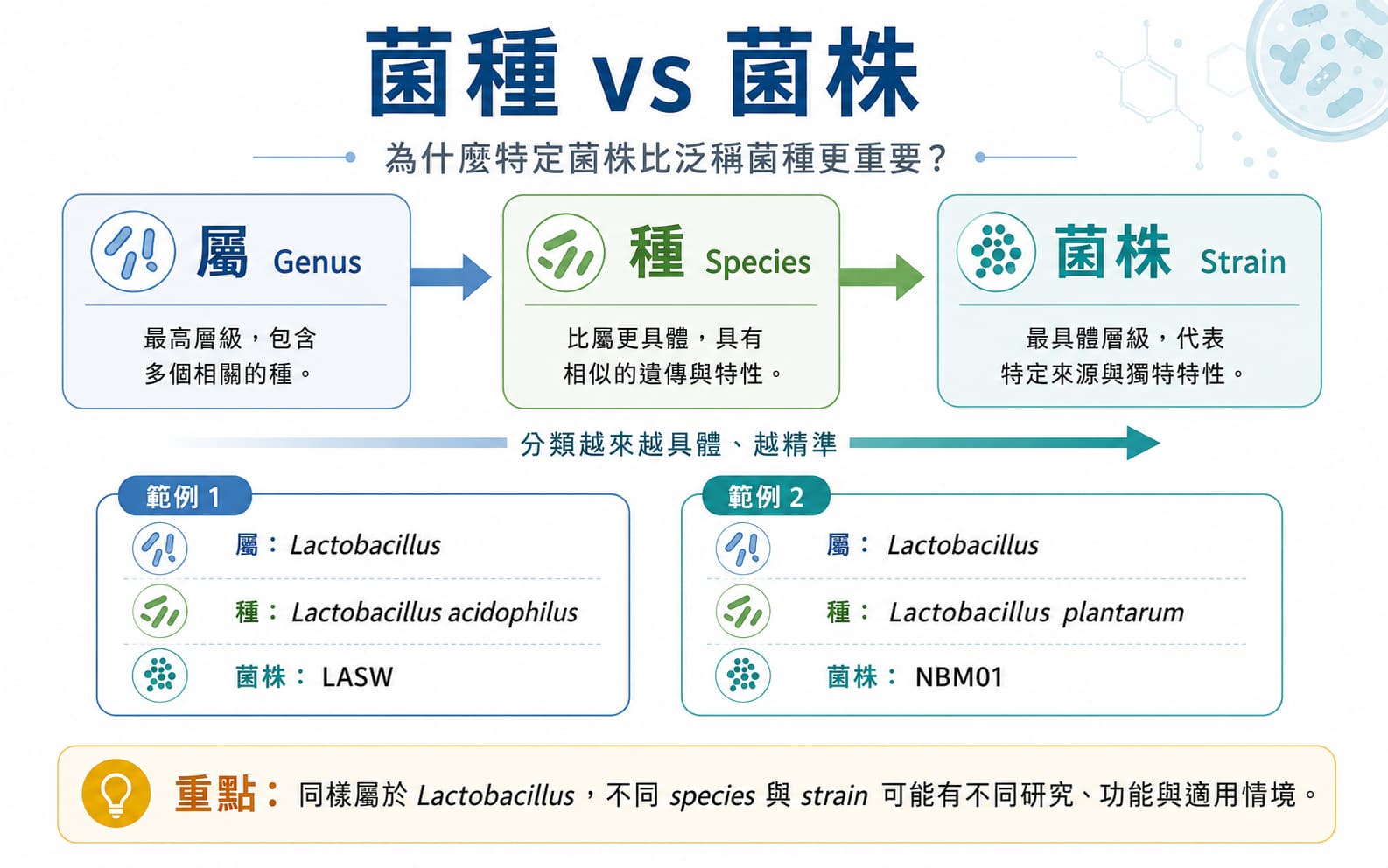益生菌菌種與菌株差異，說明為什麼特定菌株比泛稱菌種更重要