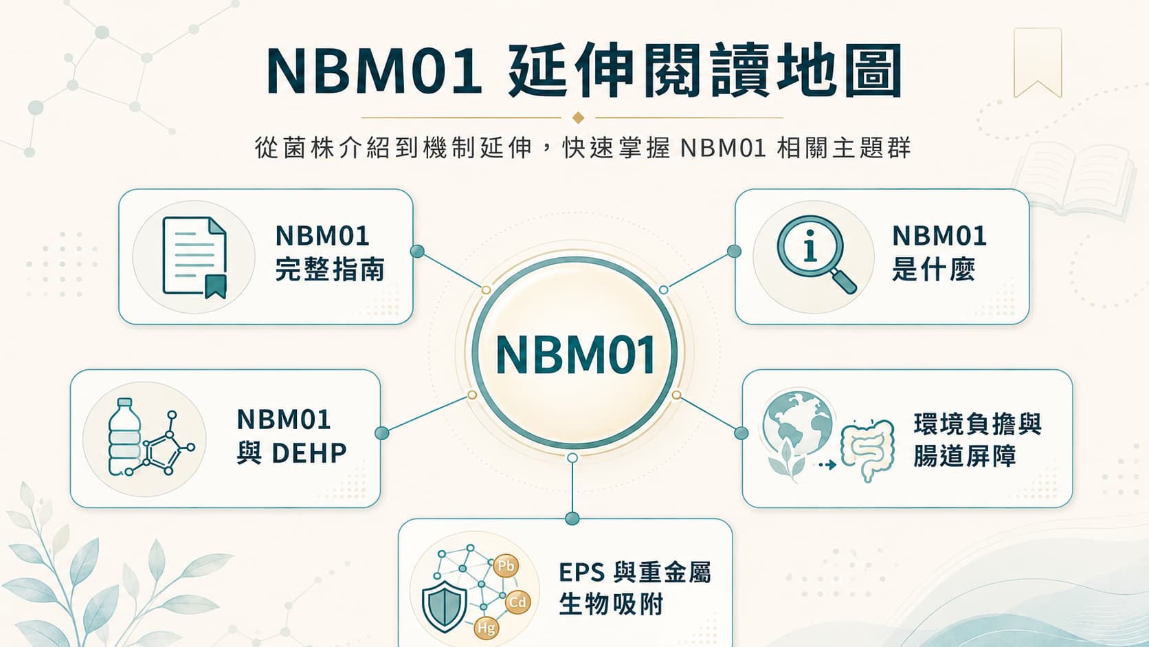 NBM01 延伸閱讀地圖，包含菌株介紹、DEHP、環境負擔、EPS 與重金屬生物吸附